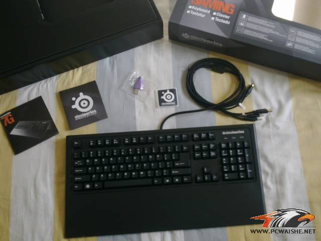 20110210251.jpg