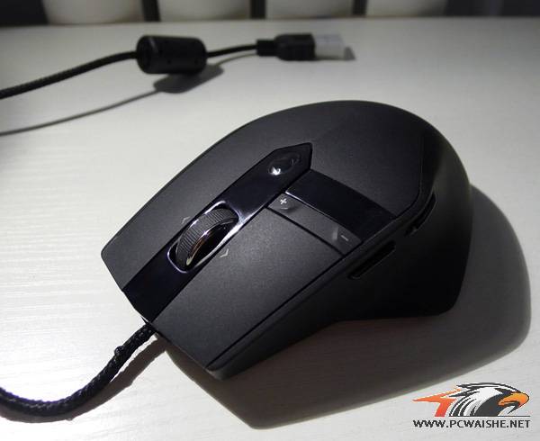 P1010275.jpg
