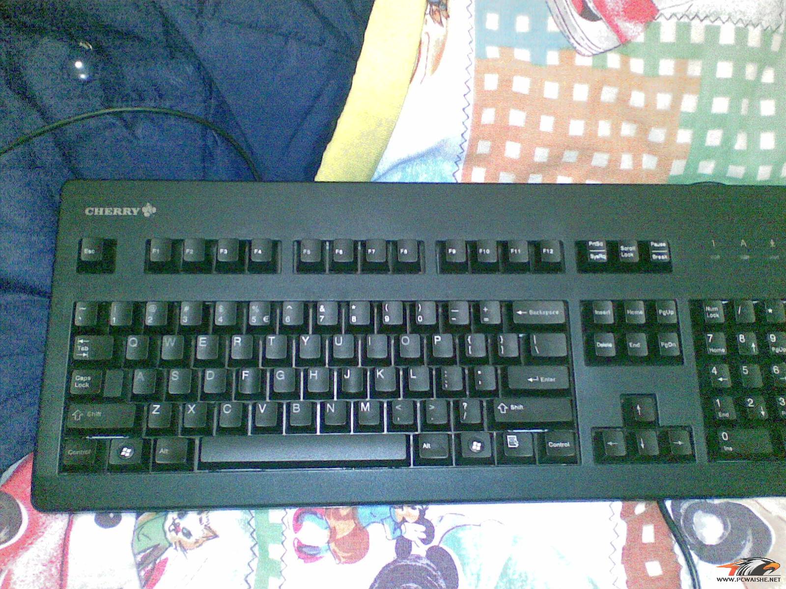 20110212_001.jpg