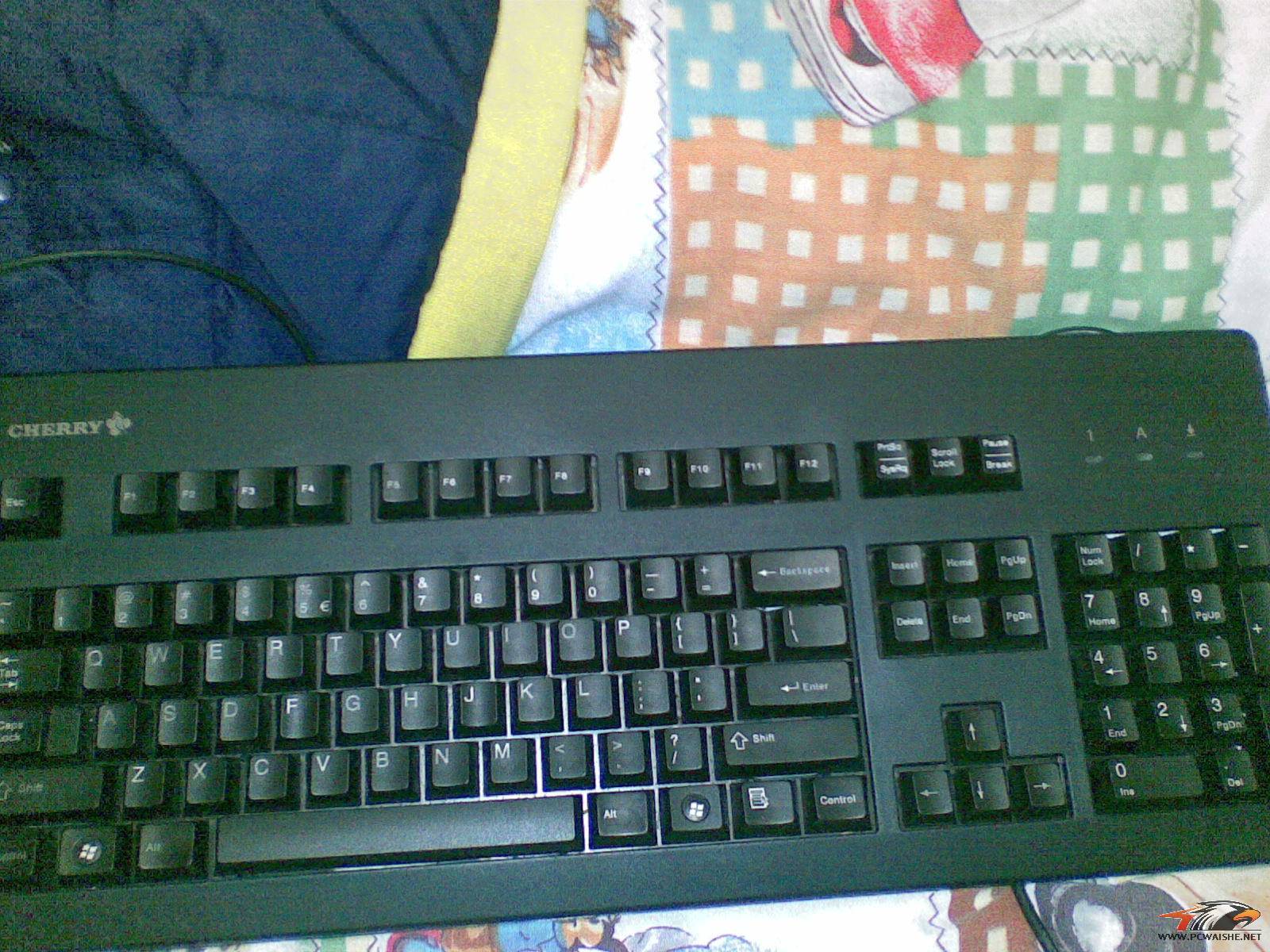 20110212_002.jpg