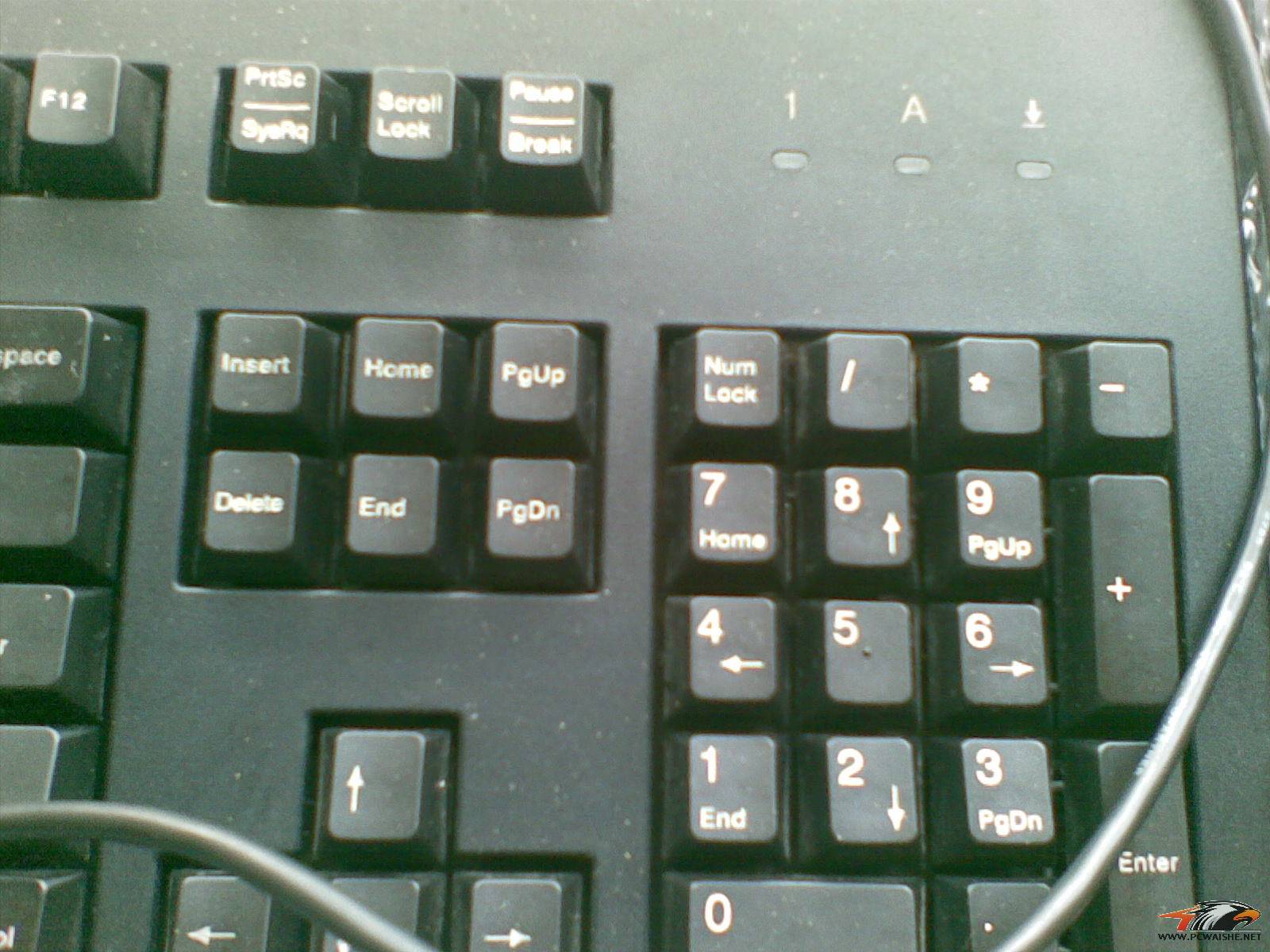 20110212_005.jpg