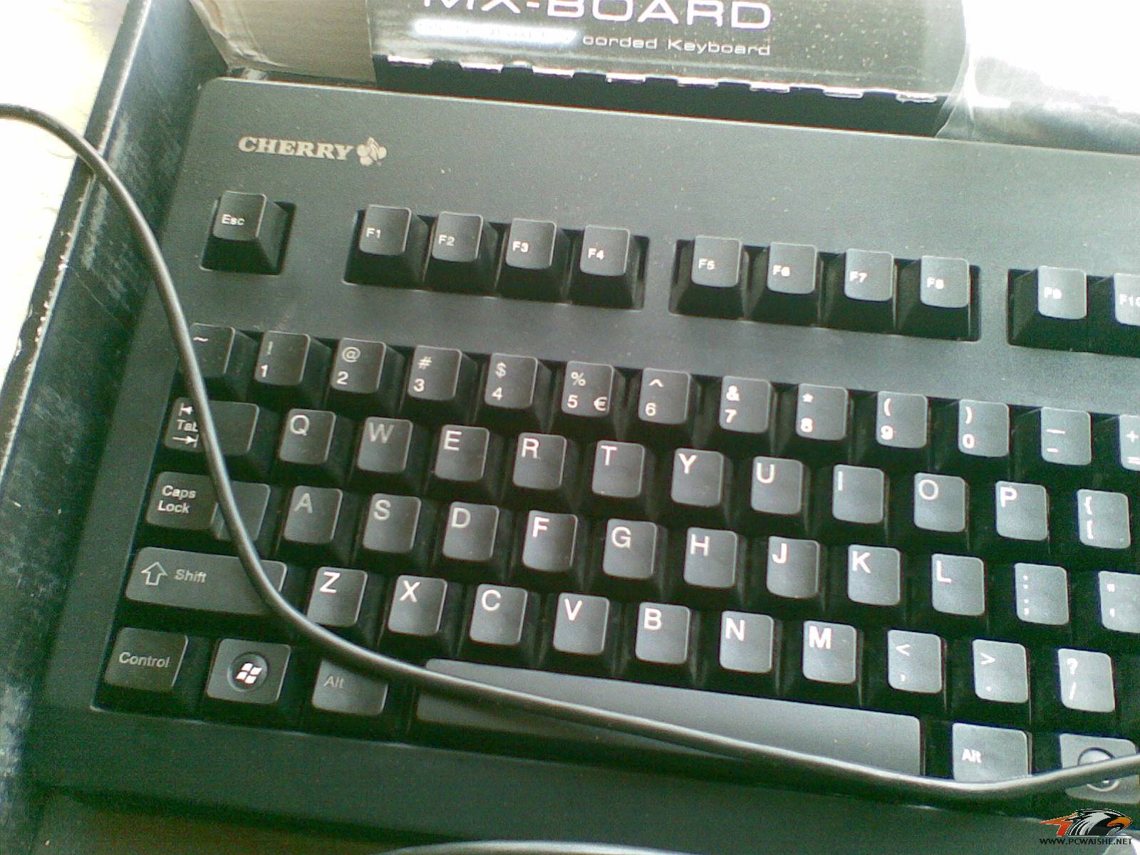 20110212_003.jpg