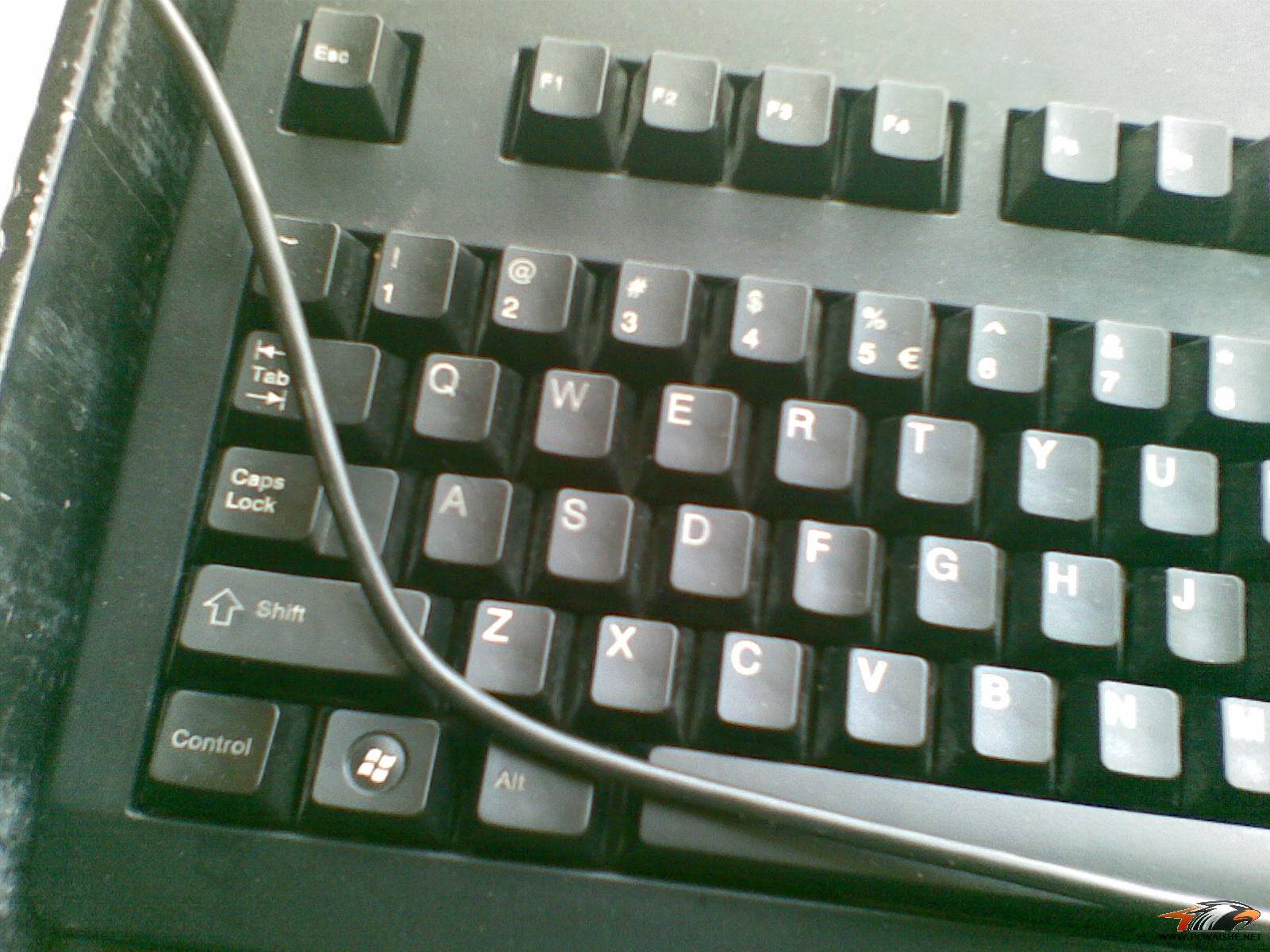 20110212_006.jpg