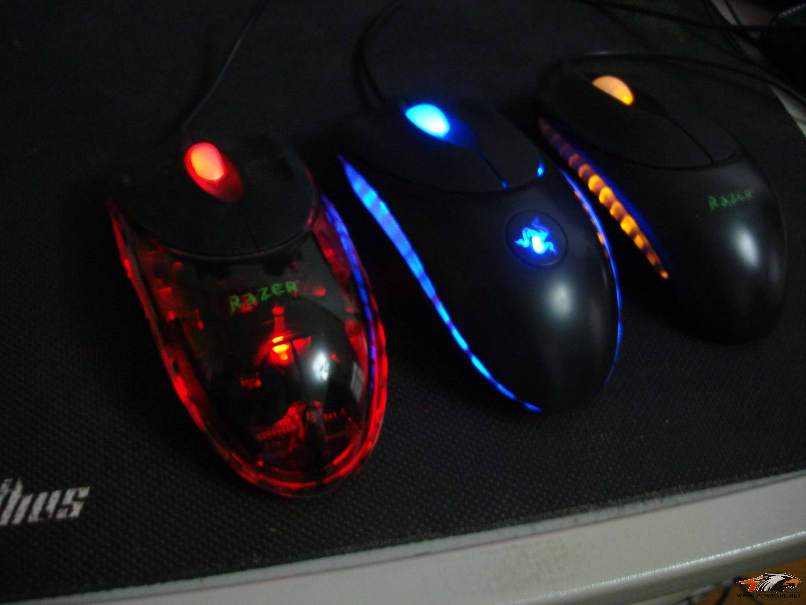 ��9����ɫͭ�棬��ɫ��β�ߣ�����������~���������һ�ֻҪ120��