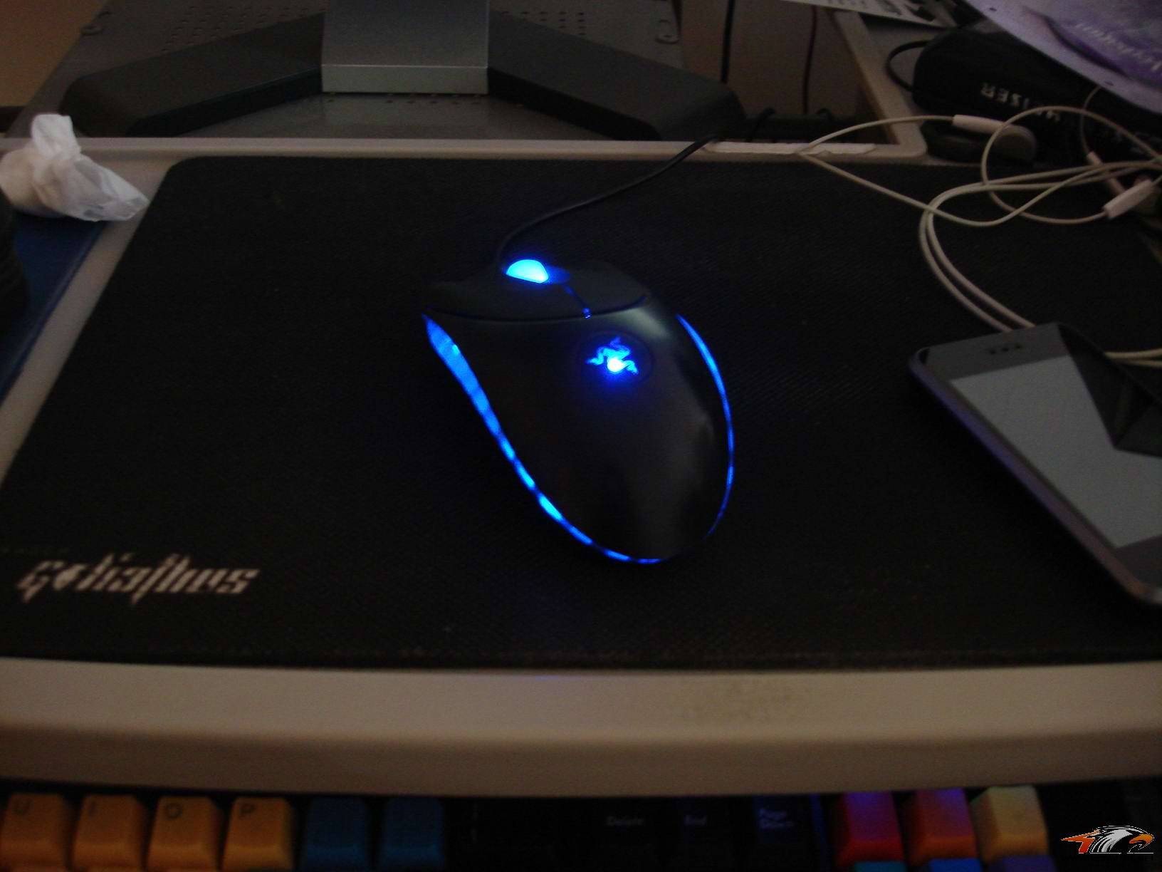 ��9����ɫͭ�棬��ɫ��β�ߣ�����������~���������һ�ֻҪ120��