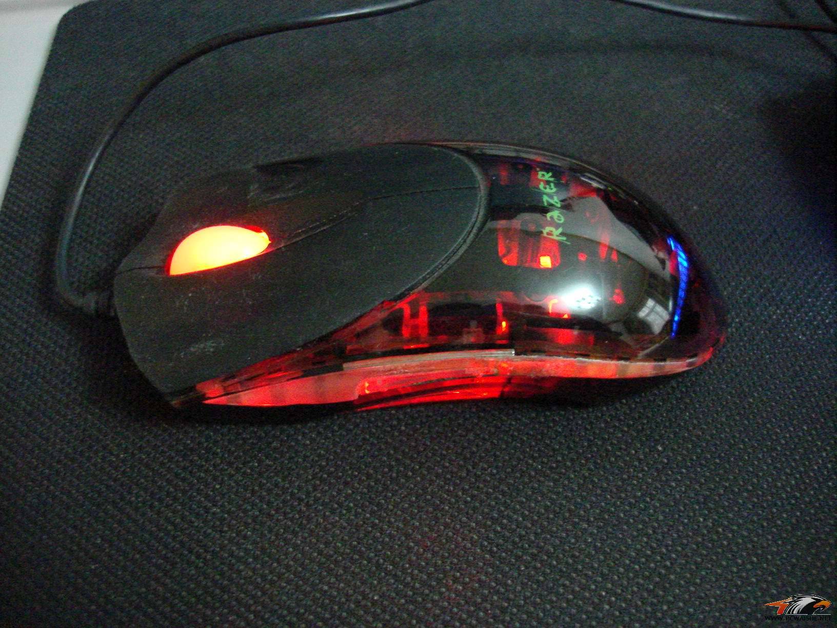 ��9����ɫͭ�棬��ɫ��β�ߣ�����������~���������һ�ֻҪ120��