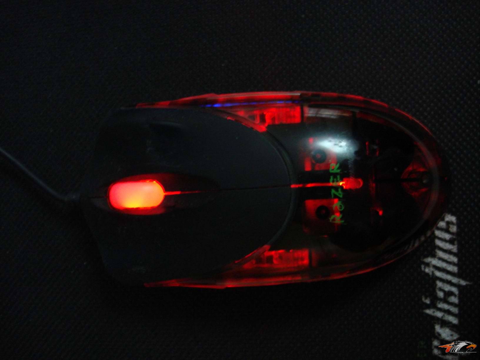 ��9����ɫͭ�棬��ɫ��β�ߣ�����������~���������һ�ֻҪ120��