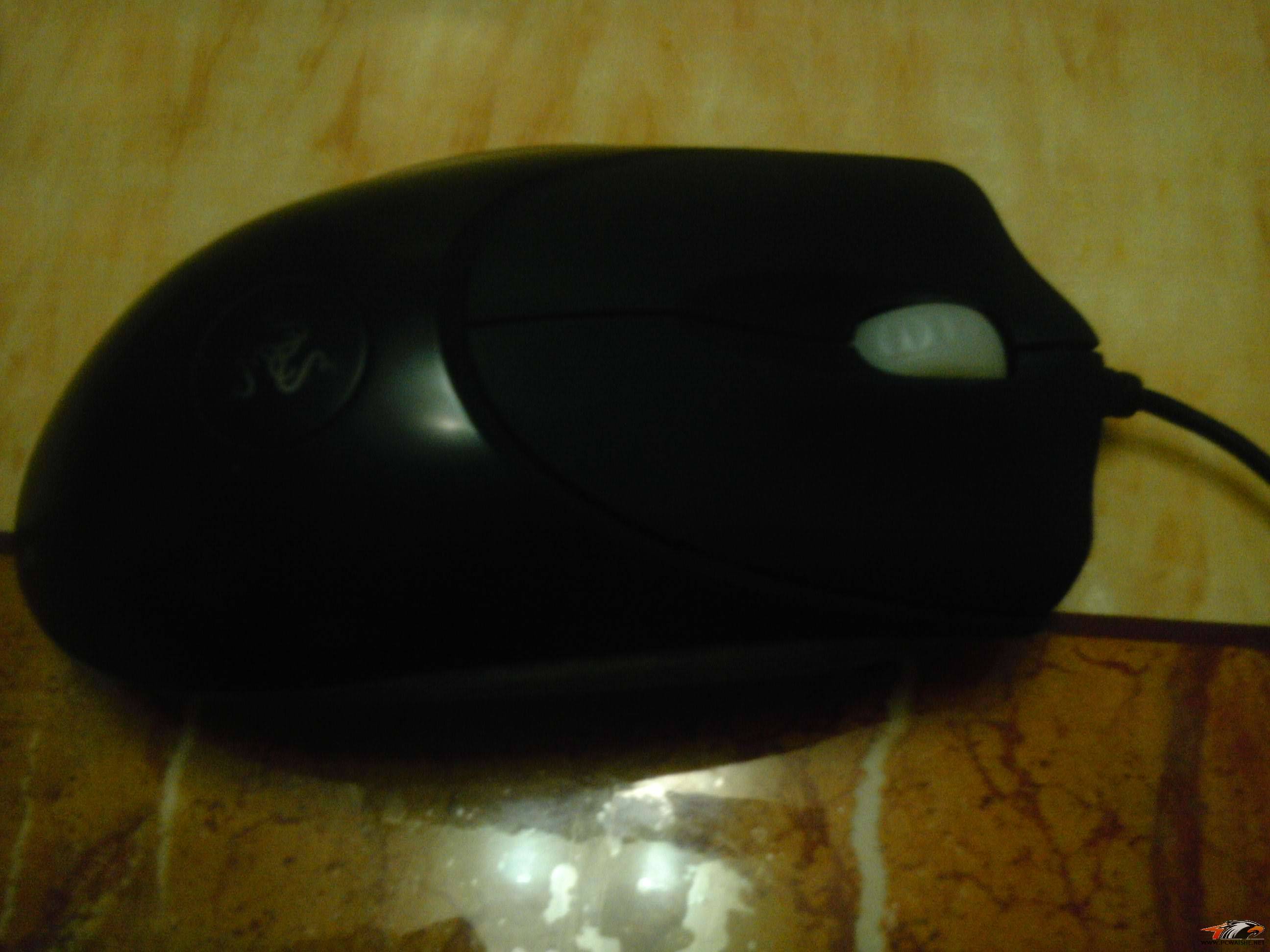 ��9����ɫͭ�棬��ɫ��β�ߣ�����������~���������һ�ֻҪ120��