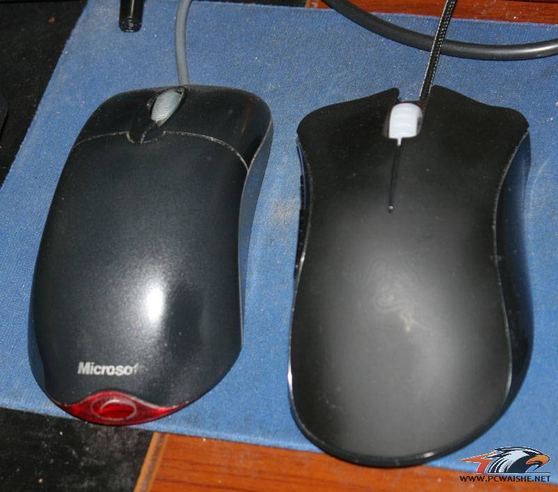mouse.jpg