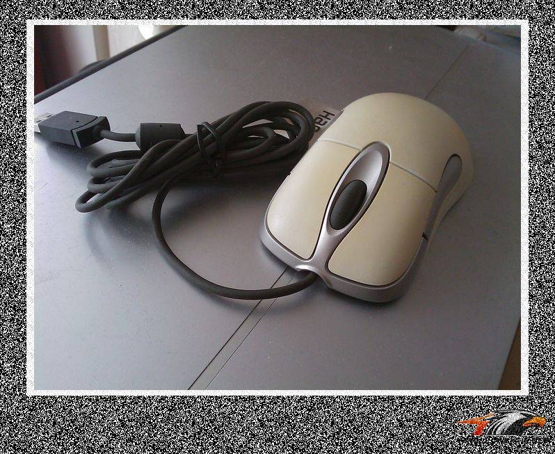 ���¡�������io�ҵ�x08��mx1000���� v450