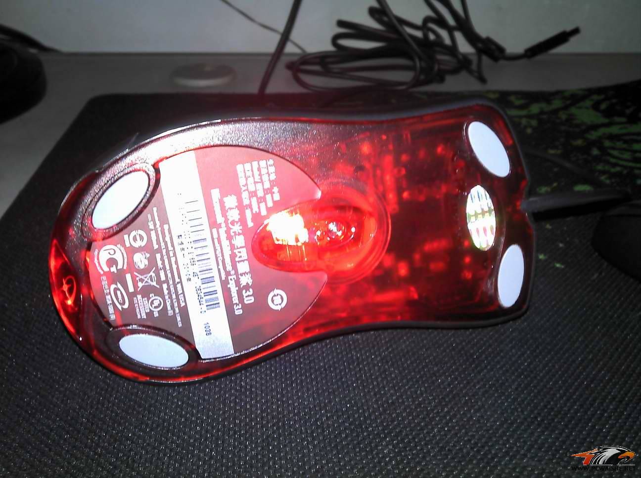 2011-02-13_12-33-26_887.jpg