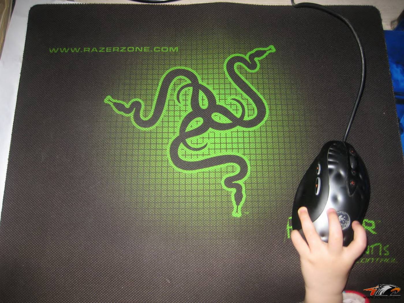 ��������һֱ���õ�Razer�ٿص����ѳ�����