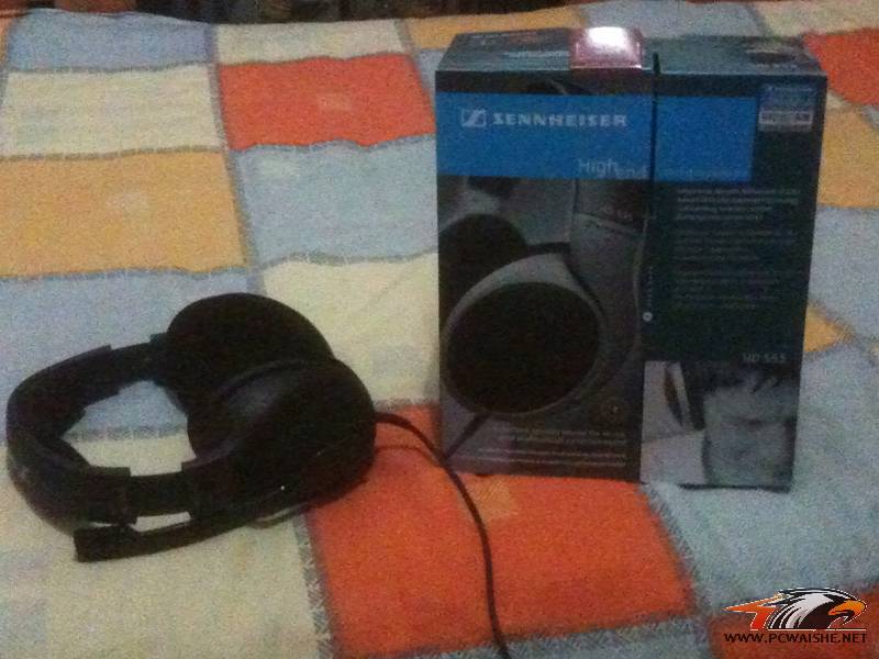 ���� ������9.5�� ɭ�� HD 555 ����һ�����ѳ���