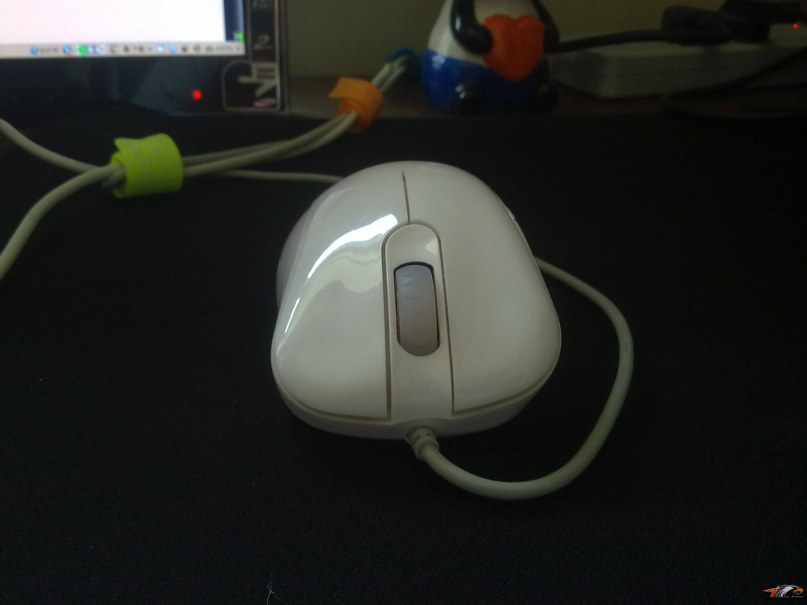 20110215102.jpg