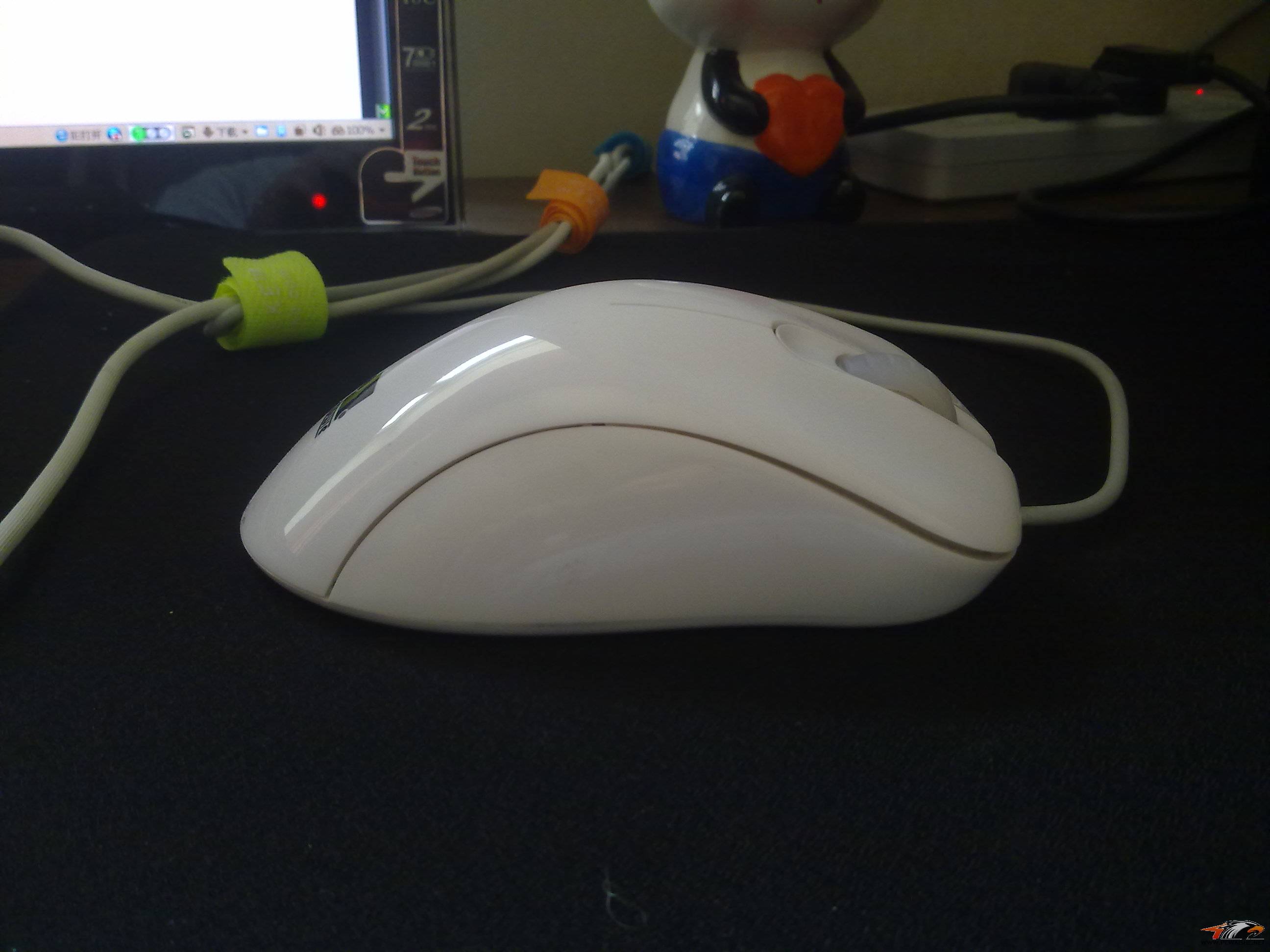 20110215101.jpg