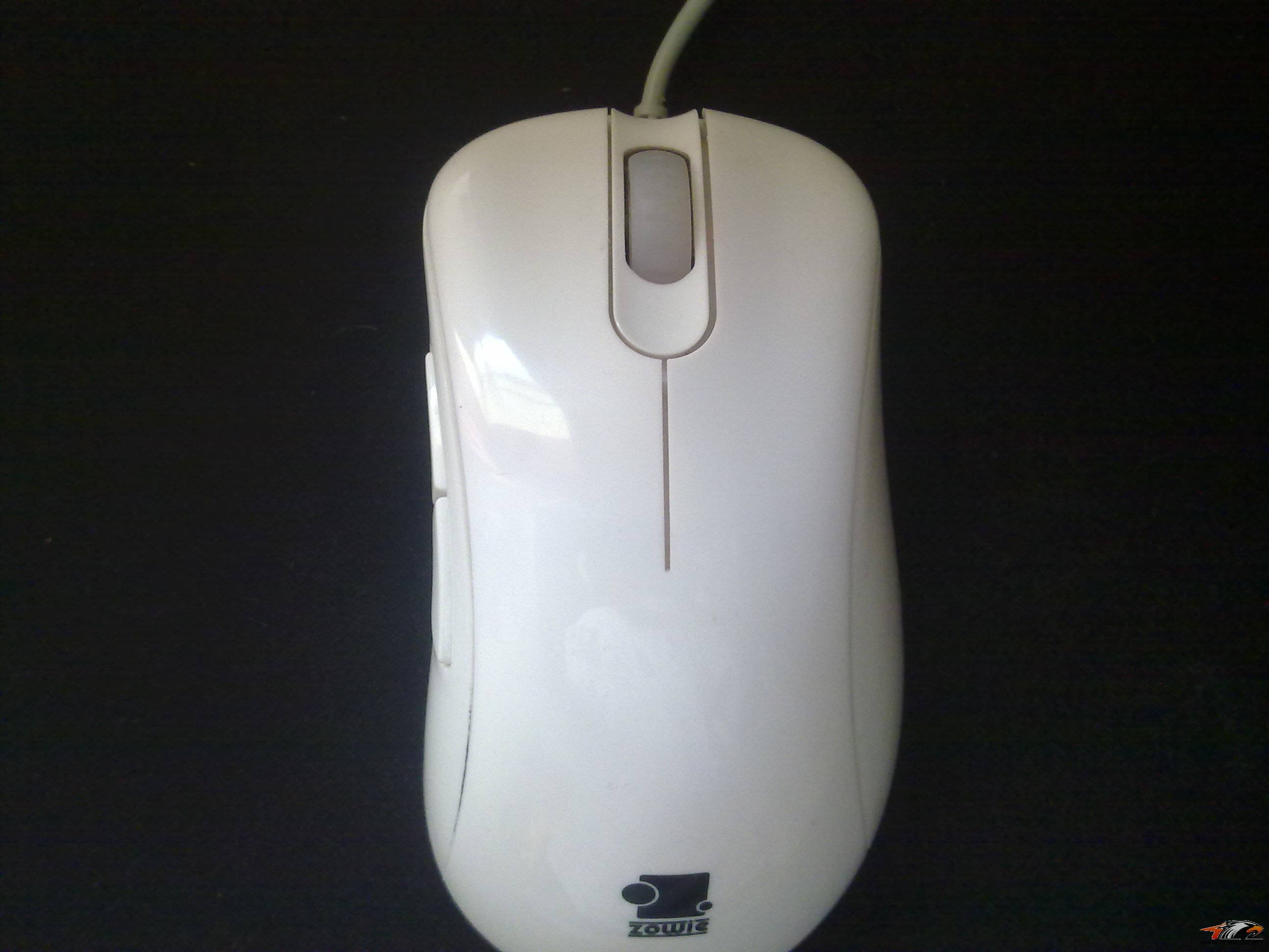 20110215100.jpg