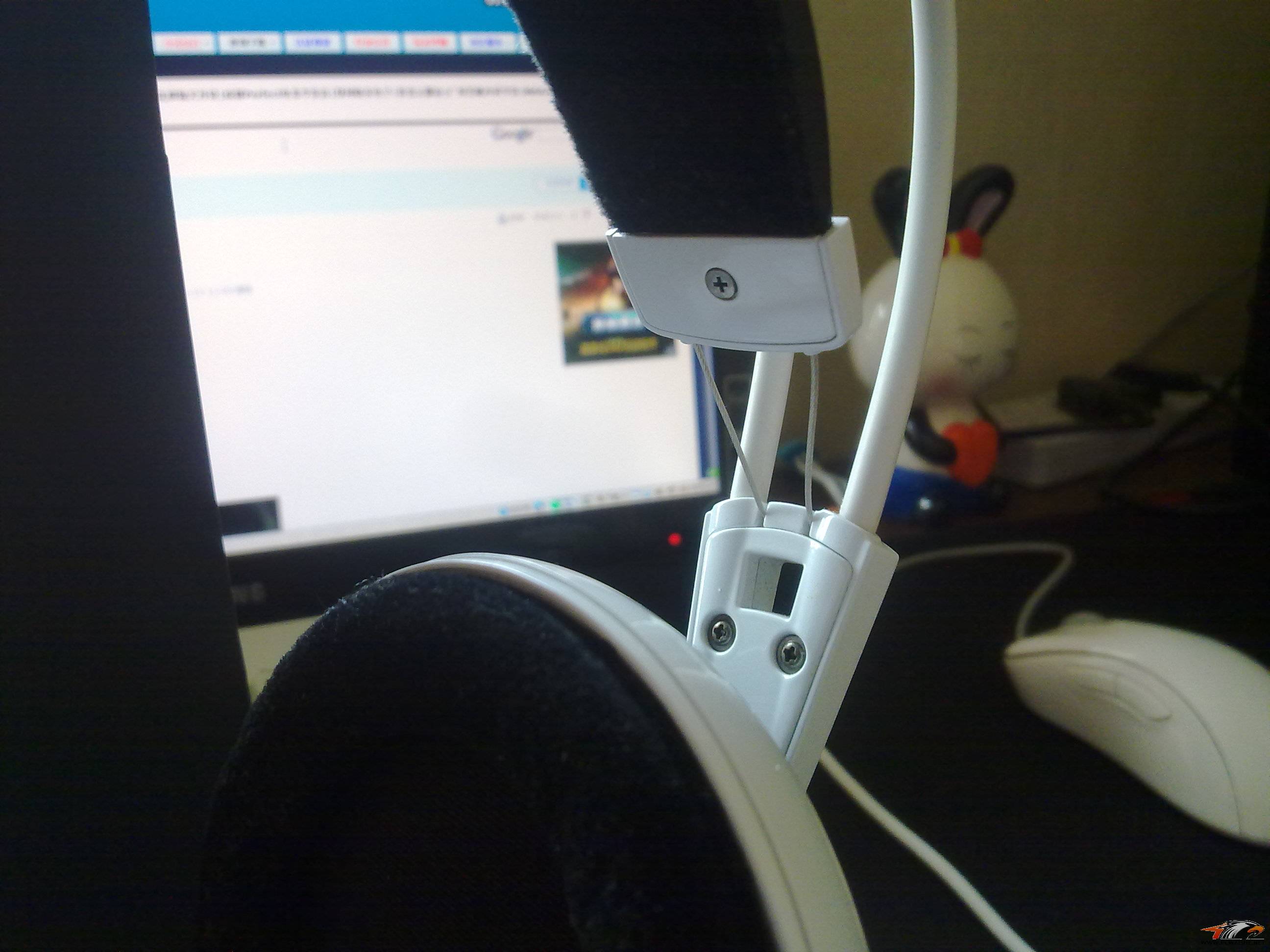 20110215095.jpg