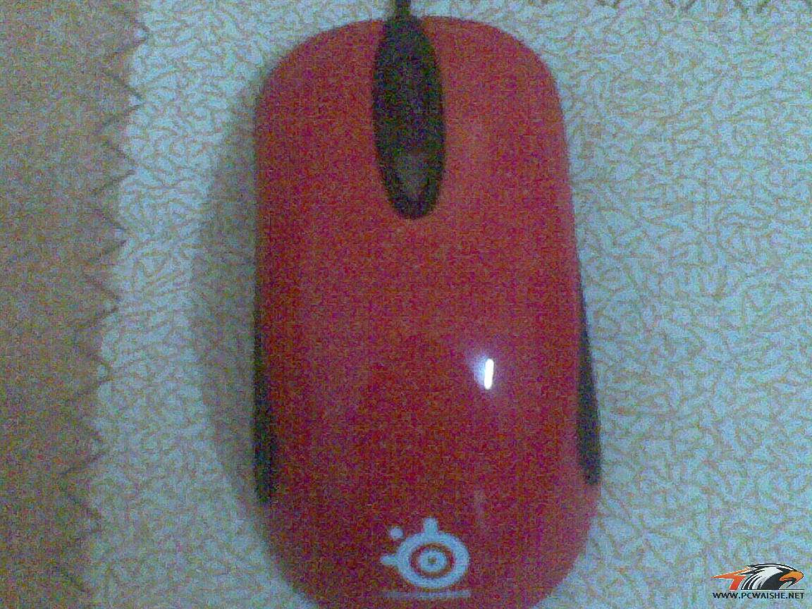 �������س�95�����º�KINZU����IO,IESK ��Ҫx800