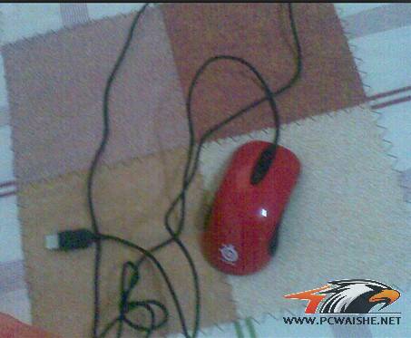 �������س�95�����º�KINZU����IO,IESK ��Ҫx800