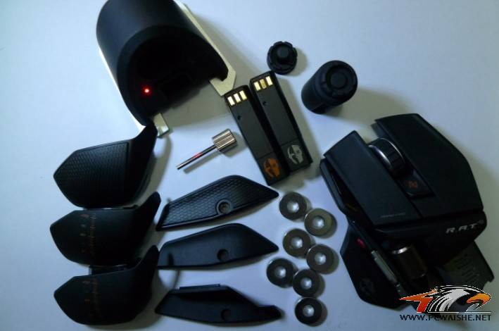 RAT9.jpg