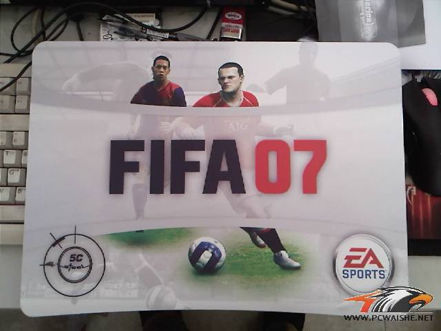 ʣ¸ FIFA5C
