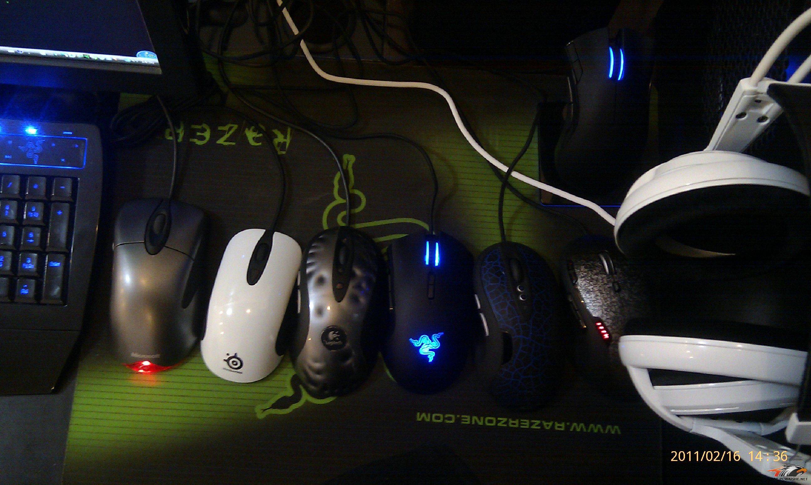 IMAG00981.jpg