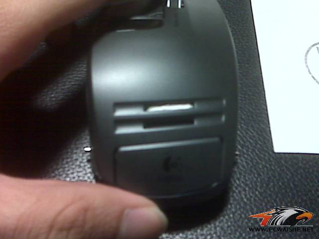 IMG00555.jpg