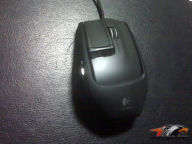 IMG00556.jpg