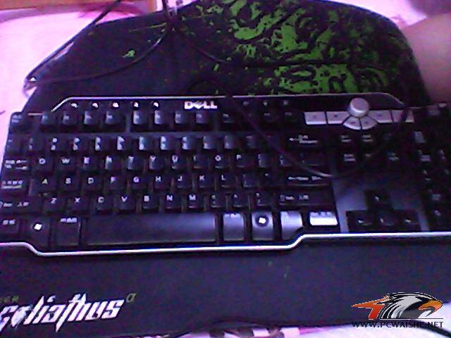 2011Ϊ����,��Щ�����桿�ϻ���ɫ�ã�Ҫ��û�ˣ�