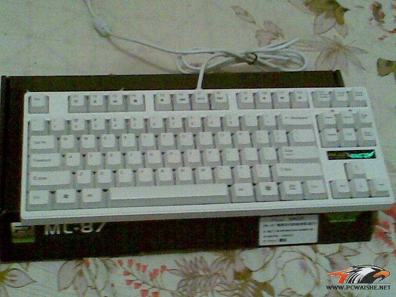 ���Ѿ�С���ˣ���һ�׶�Ԥ��������������һ���Ƕ���һ�Ѽ��̣���ɫPLU87����