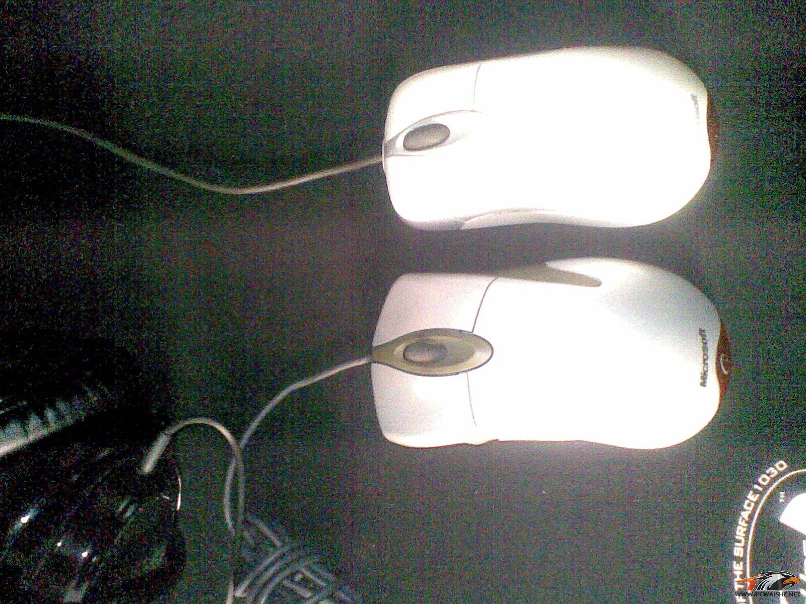 20110217.jpg