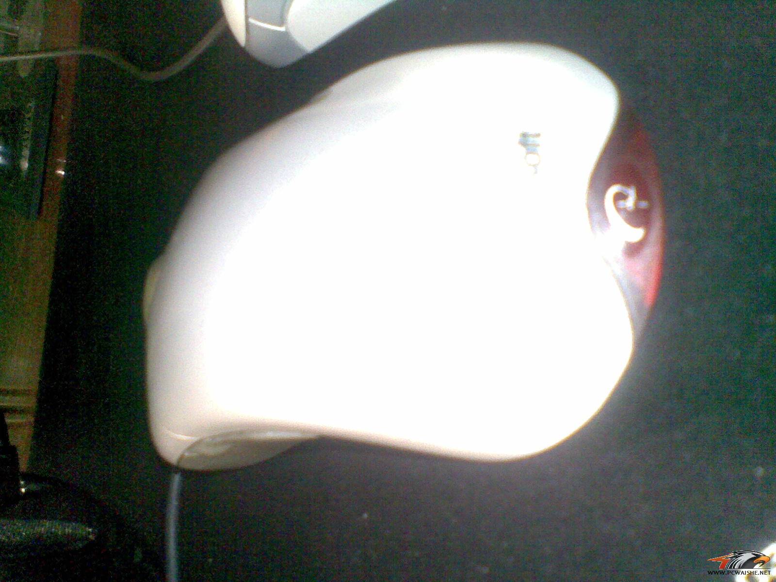 20110217_001.jpg