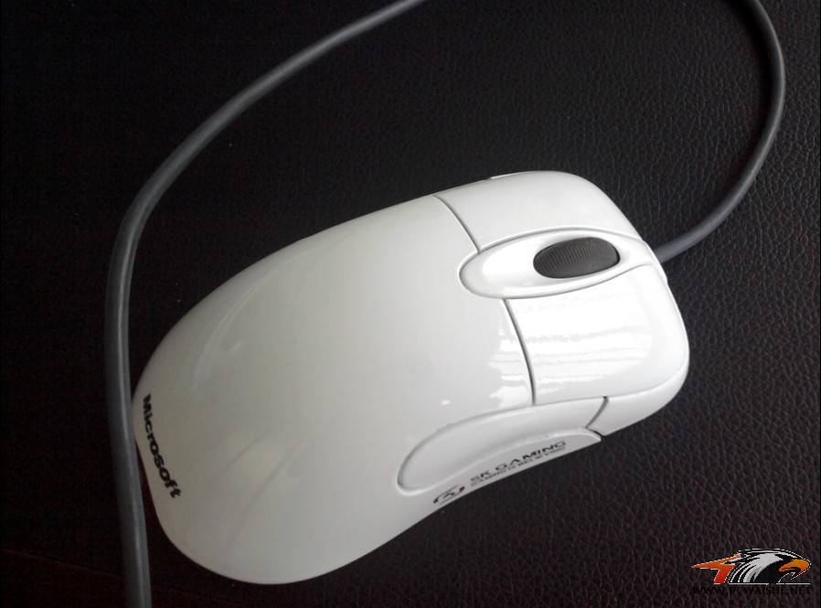 ���� IOSK ��KINZU�������С�