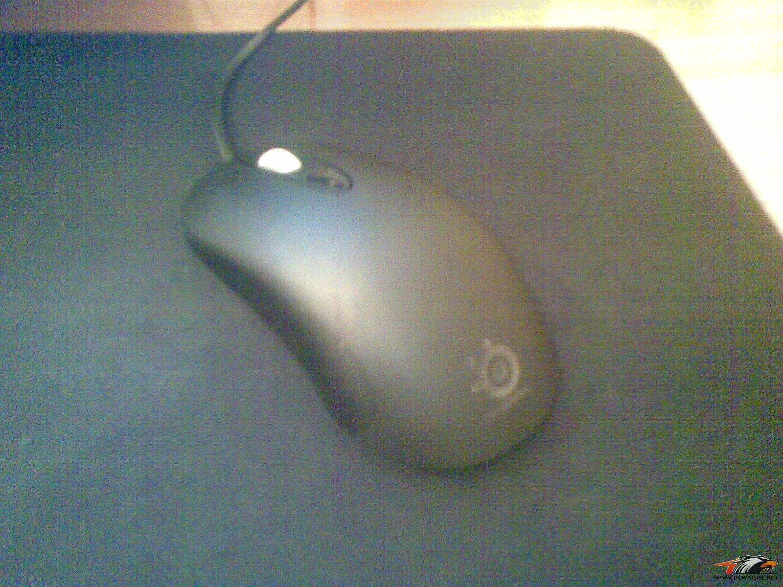 20110218.jpg
