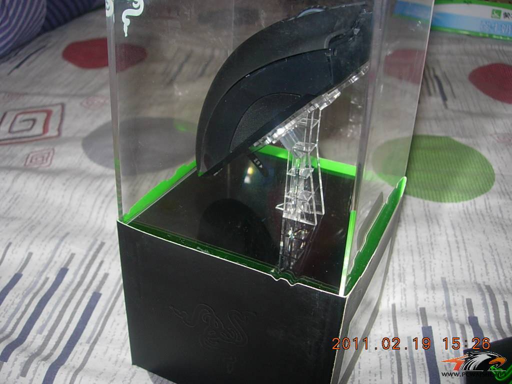 DSCN6144.JPG