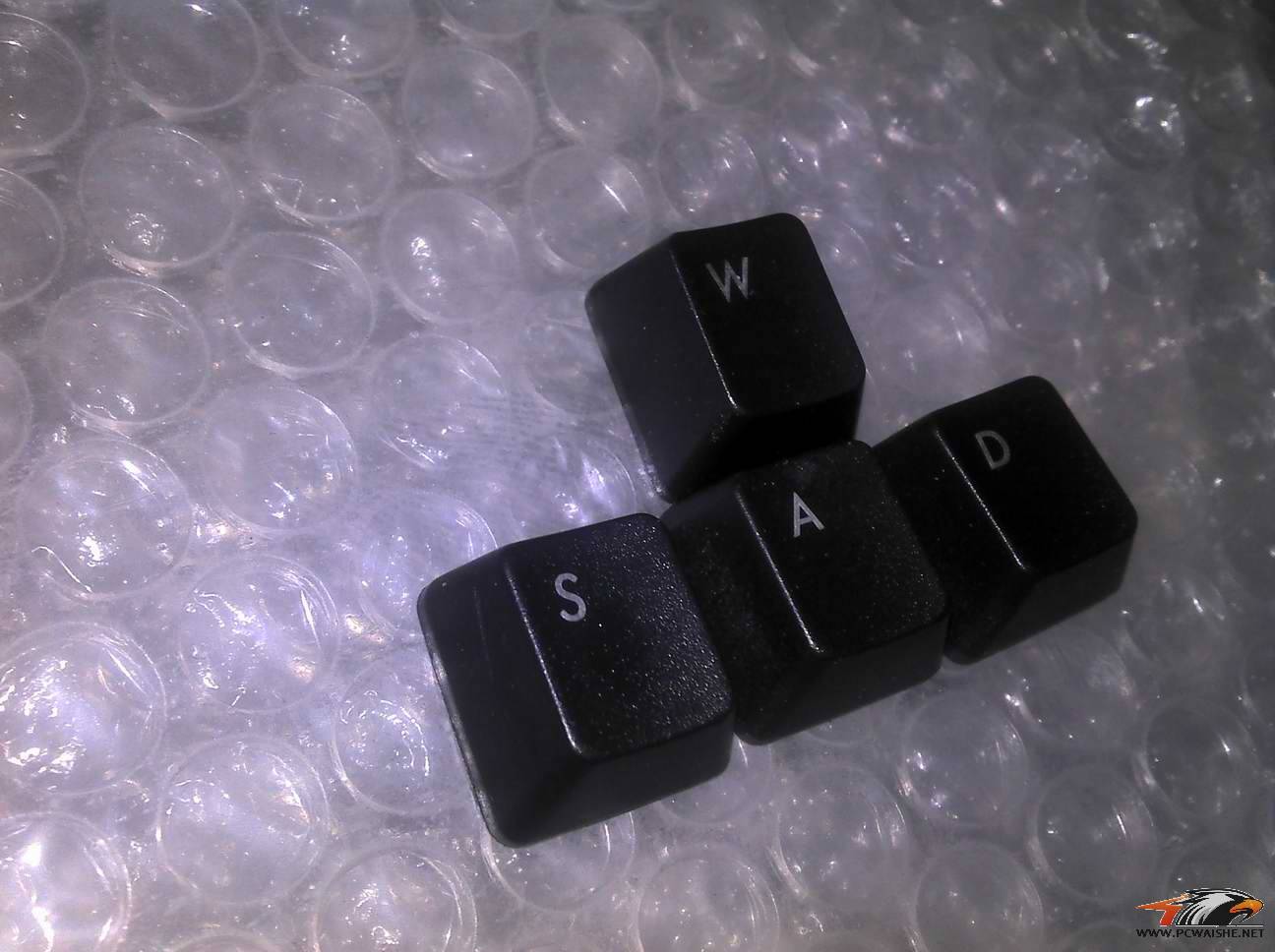 2011-02-19_12-56-44_765.jpg