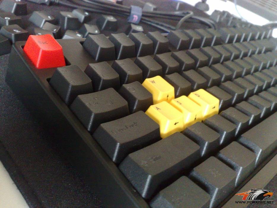 333344.jpg