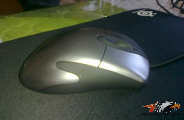 �Ͼ��¹س���IE3.0FK������ͼ