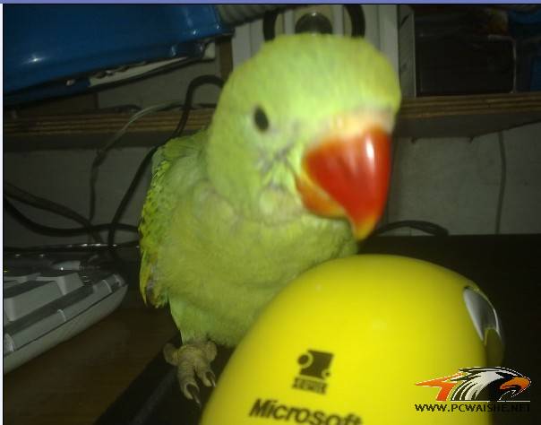 ��9������������Ҫ������ﶥ���ֵ���С��