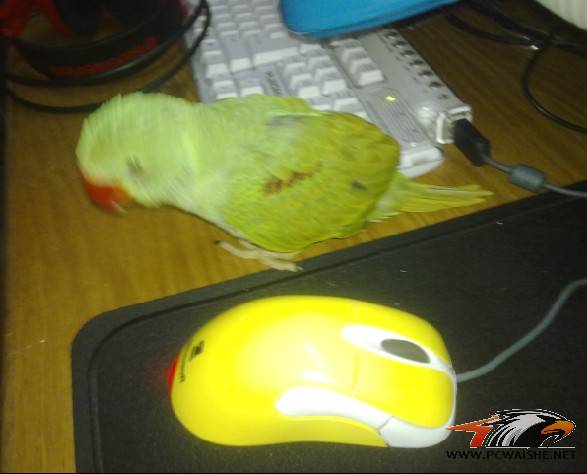 ��9������������Ҫ������ﶥ���ֵ���С��