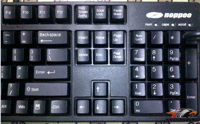 �� FILCO�� .  �� noppoo 104 �����ɫ  300 ˳�ᵽ�� ����ͼ