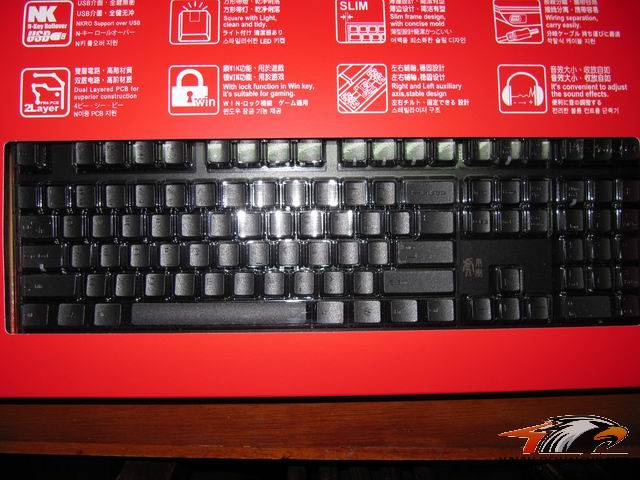 ��С��ھŵ���ducky����~~~��������~~~