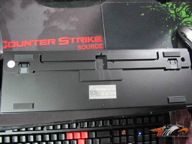 ��С��ھŵ���ducky����~~~��������~~~