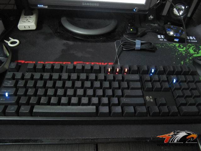 ��С��ھŵ���ducky����~~~��������~~~
