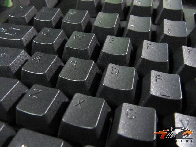 ��С��ھŵ���ducky����~~~��������~~~
