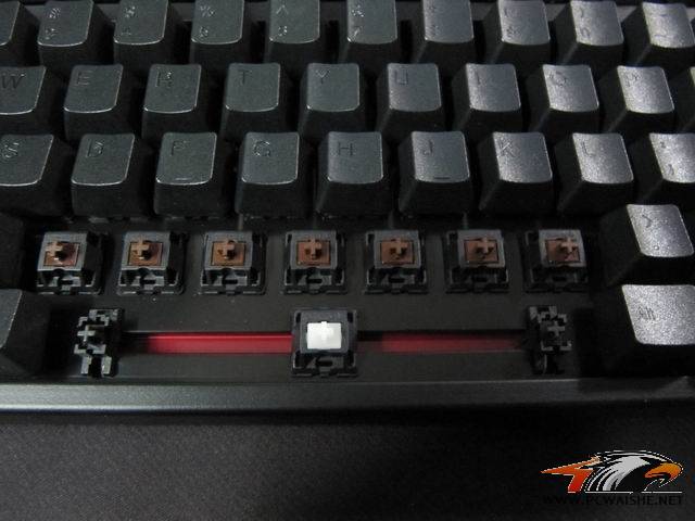 ��С��ھŵ���ducky����~~~��������~~~