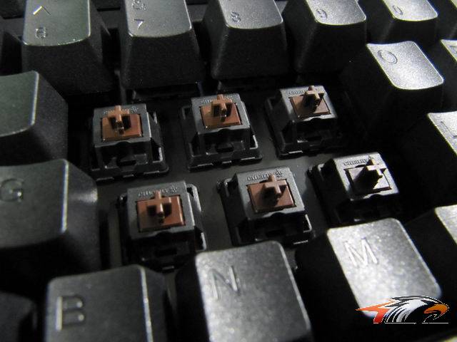 ��С��ھŵ���ducky����~~~��������~~~