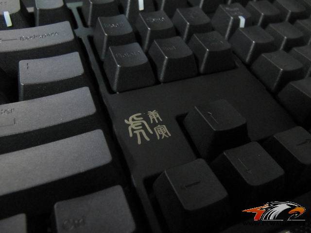 ��С��ھŵ���ducky����~~~��������~~~