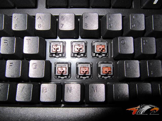 ��С��ھŵ���ducky����~~~��������~~~