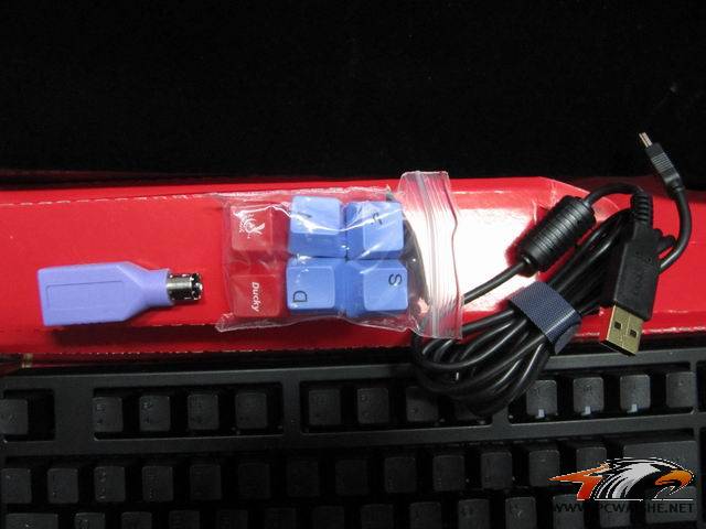 ��С��ھŵ���ducky����~~~��������~~~